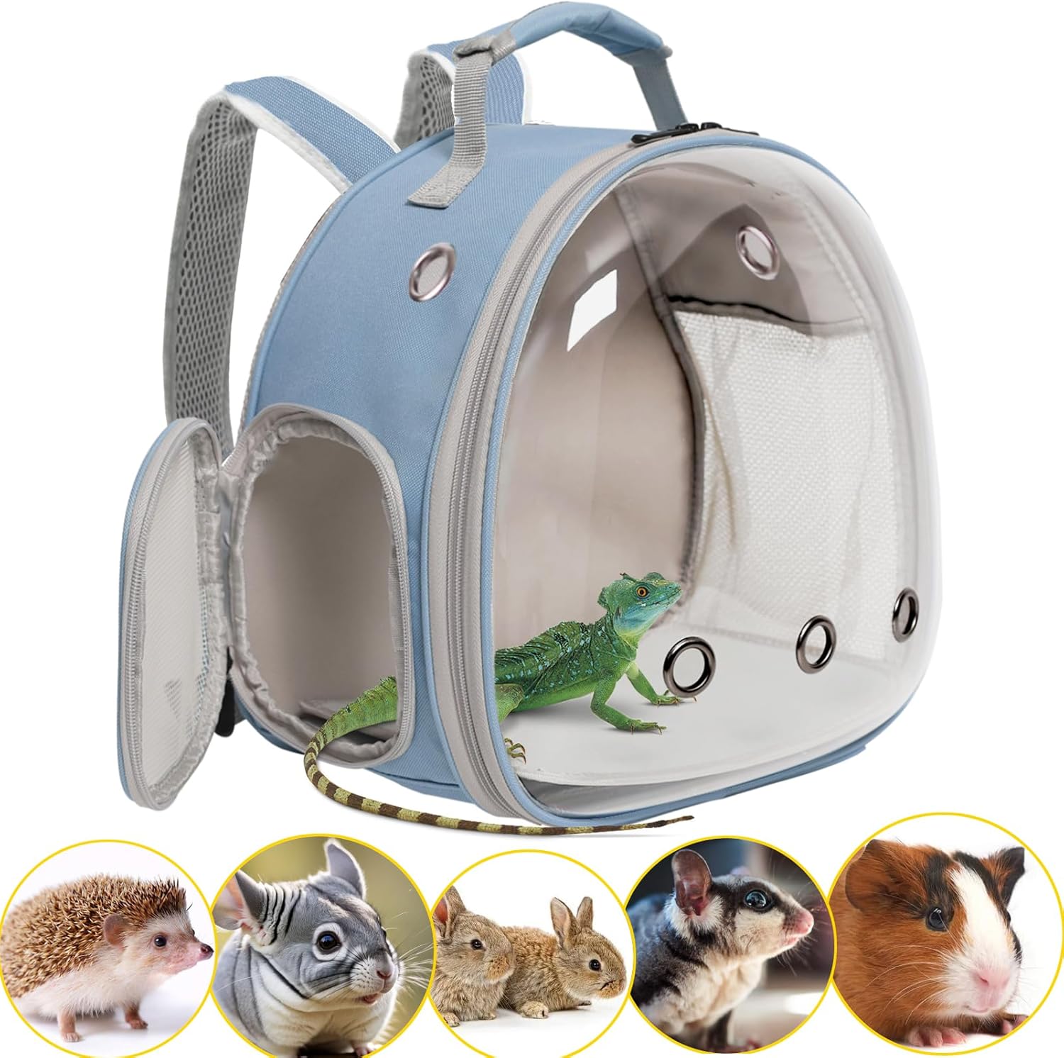 Hamster Backpack Carrier, Bearded Dragon Carrier Backpack with Clear Bubble Window,Small Animal Travel Backpack for Sugar Glider Hedgehog Rat Parrot, Airline Approved (Blue, Backpack) - Pet Explorer