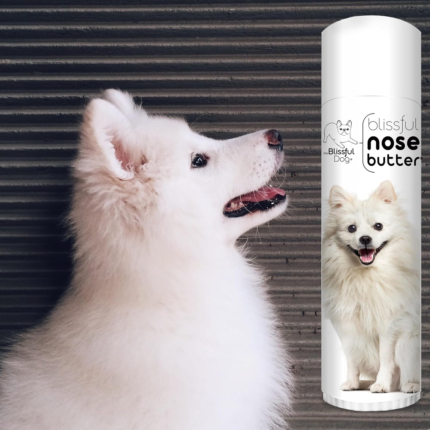 The Blissful Dog American Eskimo Nose Butter for Dry, Cracked Skin, Lick-Safe Dog Nose Balm with Moisturizing Shea Butter, Almond, Olive, and Essential Oils, Pet Supplies, Uncented, 0.50 oz. - Pet Explorer