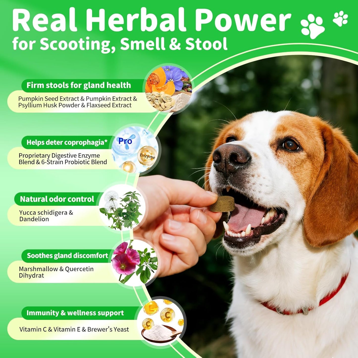 Premium Dog Digestive Enzymes and Probiotics with Pumpkin for Gut Health Support - Daily Chews for Digestion & Gas Relief - Chicken Flavor-90 Count - Pet Explorer
