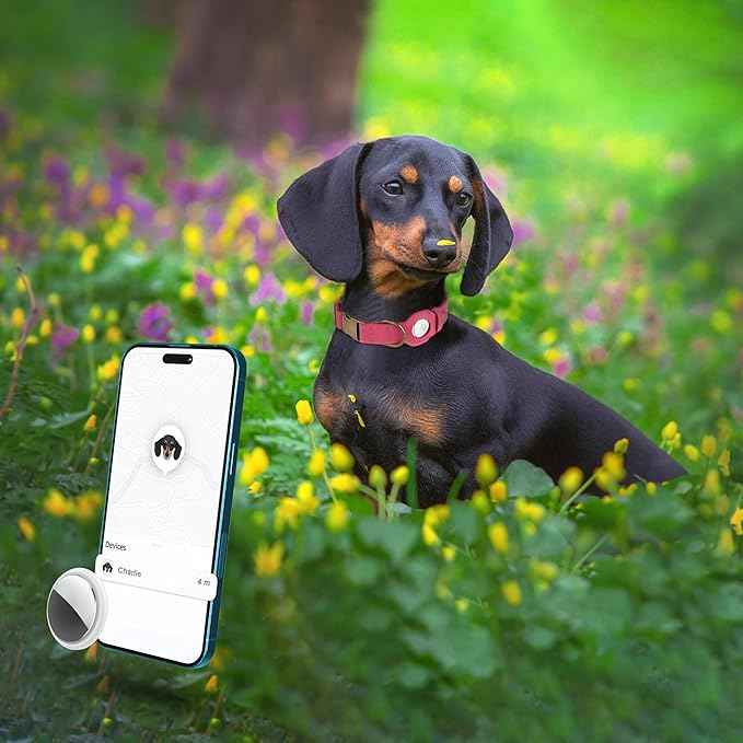 AirTag Dog Collar - Genuine Leather Dog Collar with Apple AirTag Holder and Metal Buckle - Smart GPS Tracking Pet Collars (Pink, L, 17"-21" Neck Fit)
