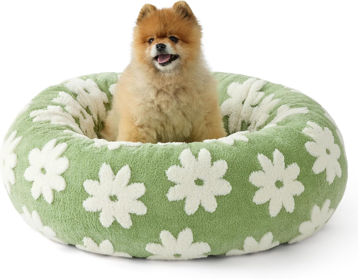 LE SURE Donut Small Dog Bed - Round Cat Beds for Indoor Cats Calming Pet Beds, Cute Modern Beds with Jacquard Shaggy Plush & Anti Slip Bottom, 27 Inch, Green - Pet Explorer