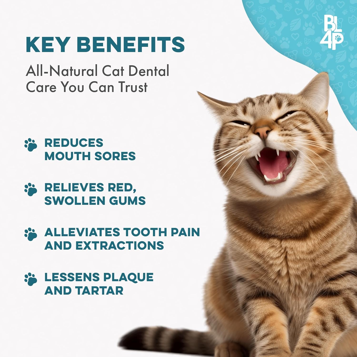 Cat Dental Supplement for Bad Breath, Tartar & Gum Support – Natural Oral Tablets for Fresh Breath, Teeth & Gum Wellness and Plaque Control – Odorless & Tasteless – 400 Easy-to-Give Pills - Pet Explorer