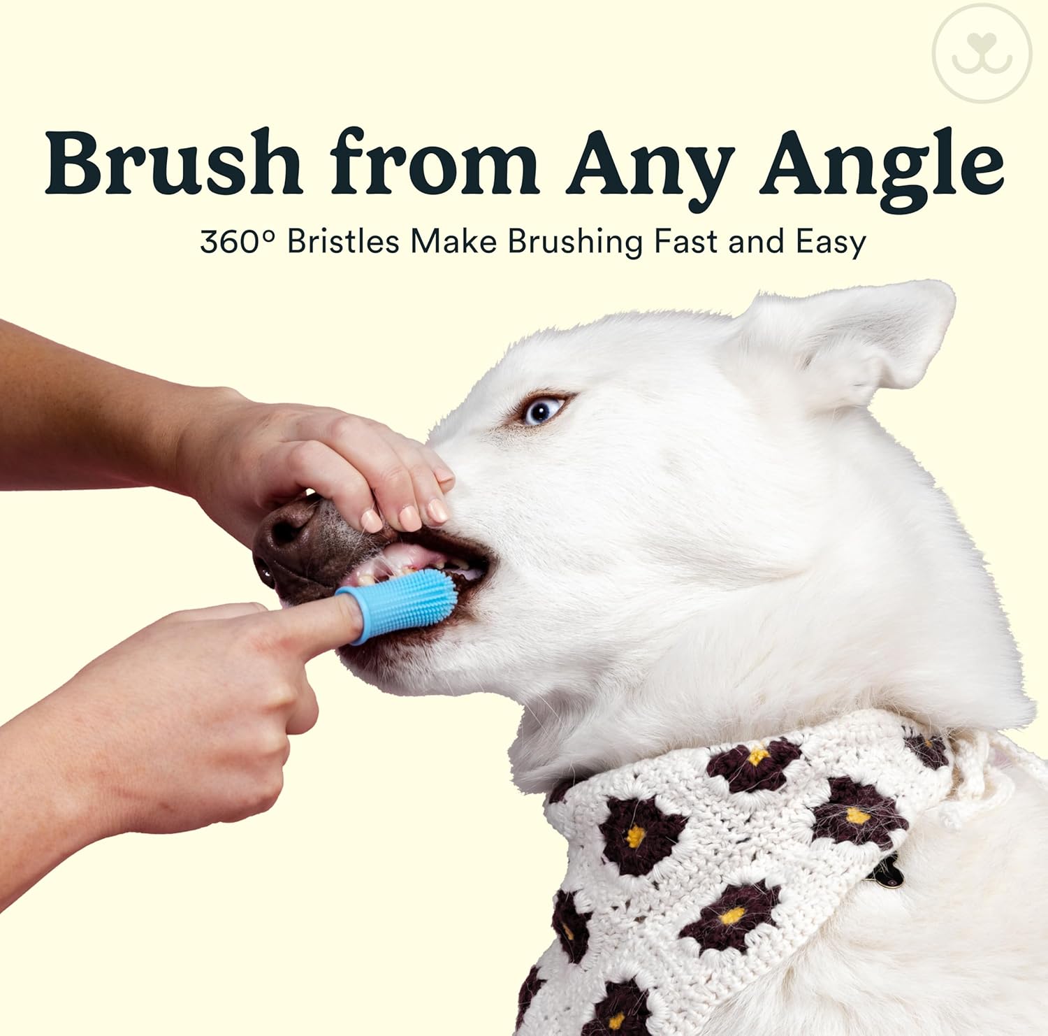 Jasper Dog Toothbrush, 360 Dog Tooth Brushing Kit, Finger Toothbrush, Cat Tooth Brush, Teeth Cleaning, Pet Tooth Brush for Small & Large Pets, Pet Toothpaste Not Included, 4-Pack Clear - Pet Explorer