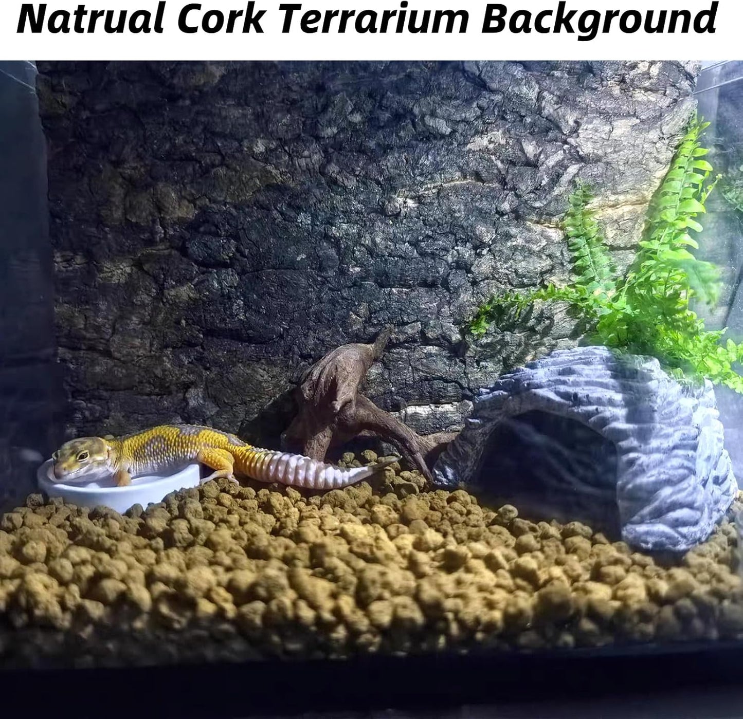 2PCS Cork Terrarium Background 15.7x11.8in Natural Cork Large Bark Backdrop Reptile Climbing Mat Habitat Decor for Spider Lizard Chamelon Turtle Beared Dragon - Pet Explorer