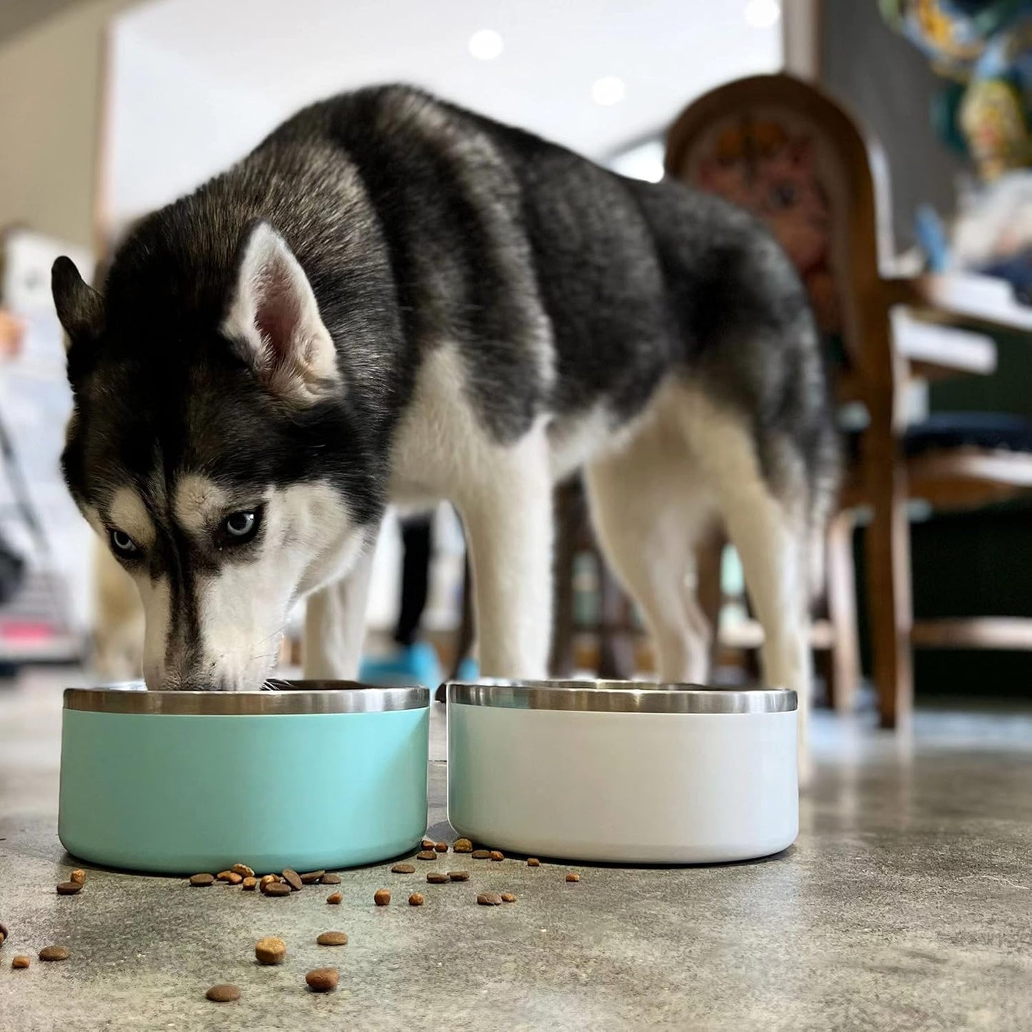 IKITCHEN Dog Bowl for Food and Water, 64 Oz Stainless Steel Pet Feeding Bowl, Durable Non-Skid Double Wall Insulated Heavy Duty with Rubber Bottom for Medium Large Dogs (64 Ounces/8 Cup, MintGreen) - Pet Explorer
