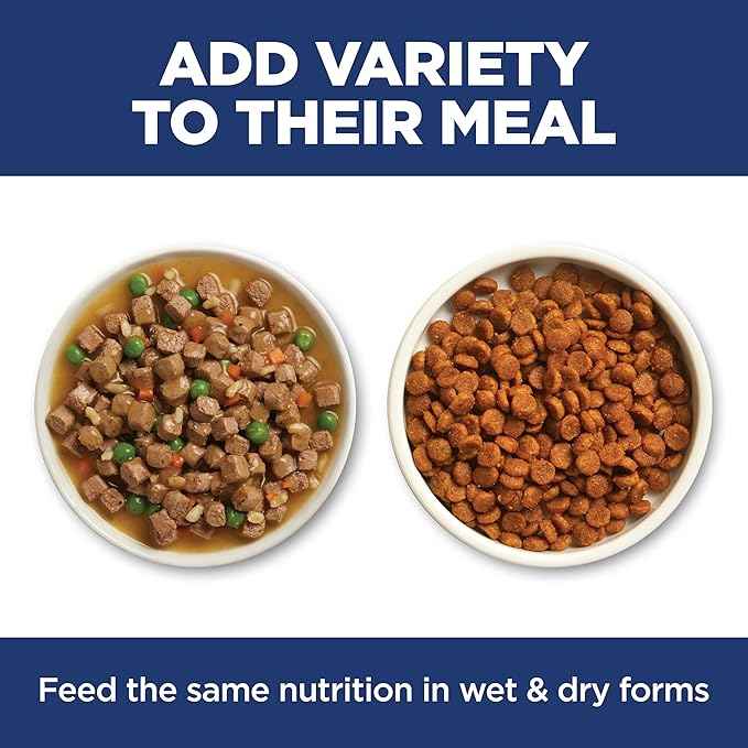 Hill's Science Diet Adult 1-6 Sensitive Stomach & Skin Dry Cat Food, Salmon Recipe, 6 lb. Bag