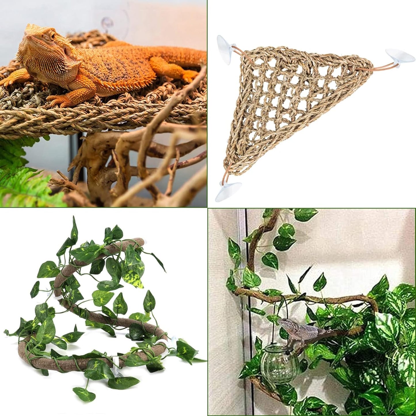 Hamiledyi Collapsible Gecko Tank Starter Kits, Reptile Travel Carrier 15.6" x 11.6" x 9.4" Small Portable Habitat Cages for Leopard Gecko, Bearded Dragon, Snake, Tortoise（Blue） - Pet Explorer
