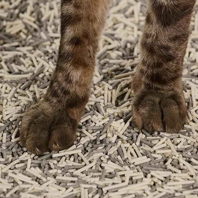 Tuft & Paw Really Great Cat Litter OdorStop, Low Tracking Mixed Tofu Cat Litter, Clumping, Multi-cat, Odor Control, Dust-Free - 9.25lbs x 2Bags (OdorStop)
