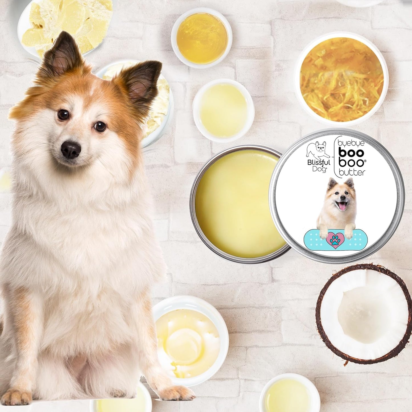 The Blissful Dog Icelandic Sheepdog Boo Boo Butter, 2 Ounce - Pet Explorer