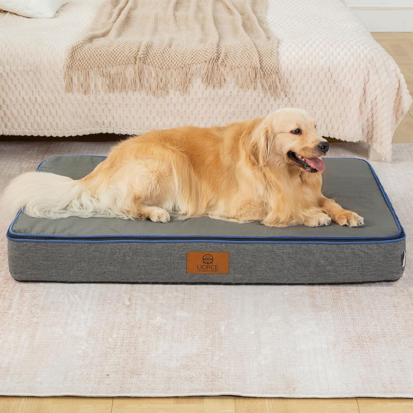 Orthopedic Memory Foam XXL Dog Bed - 6" Thick Beds for Extra Large Sized Dog - Waterproof Removable Washable Cover & Wrap-Around Zipper - Ultimate Comfort & Easy Maintenance, Dary Grey - Pet Explorer