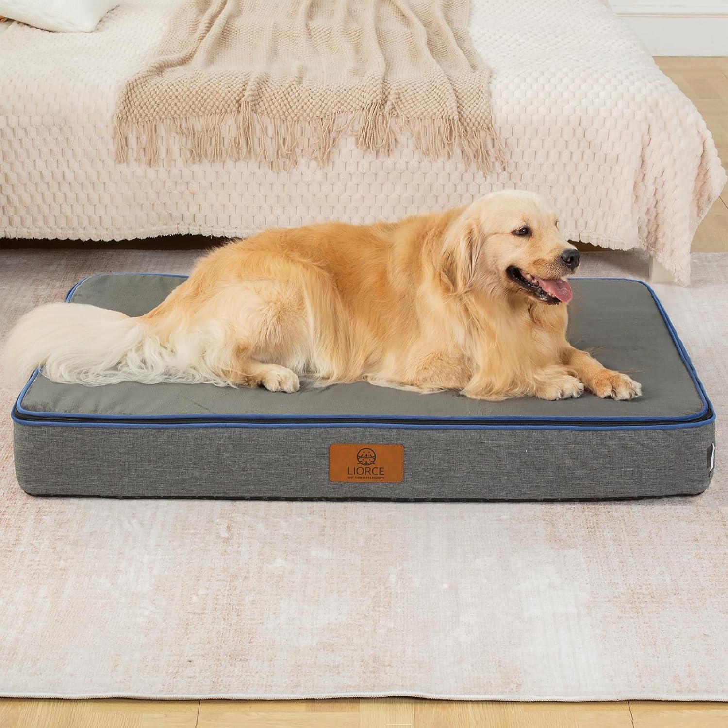 Orthopedic Memory Foam XXL Dog Bed - 6" Thick Beds for Extra Large Sized Dog - Waterproof Removable Washable Cover & Wrap-Around Zipper - Ultimate Comfort & Easy Maintenance, Dary Grey - Pet Explorer