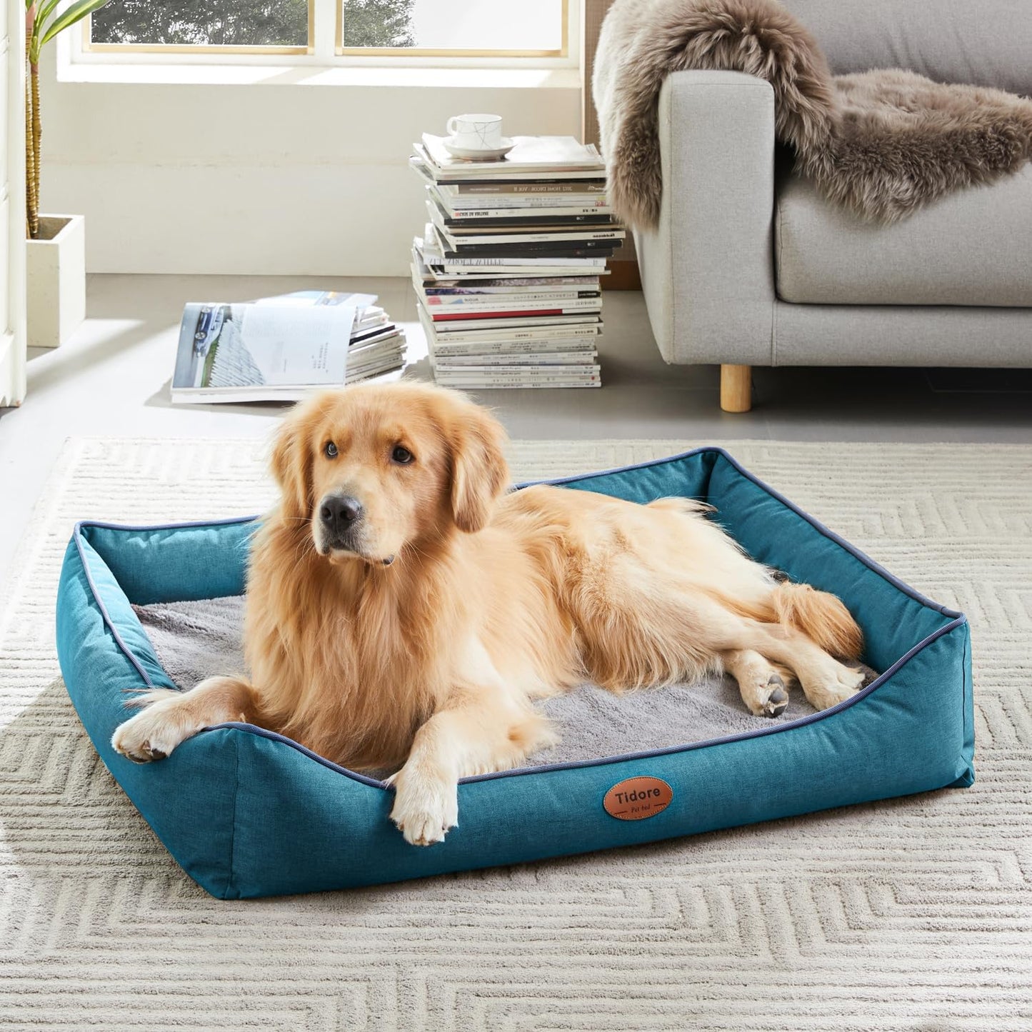 Orthopedic Dog Beds for Medium Dogs, Durable Egg Crate Foam Sofa Dog Bed wit Washable Removable Cover,Waterproof Lining,Pet Bed for Large Dogs (Peacock Blue, 39.4" L x 31.5" W x 7.4" Th) - Pet Explorer