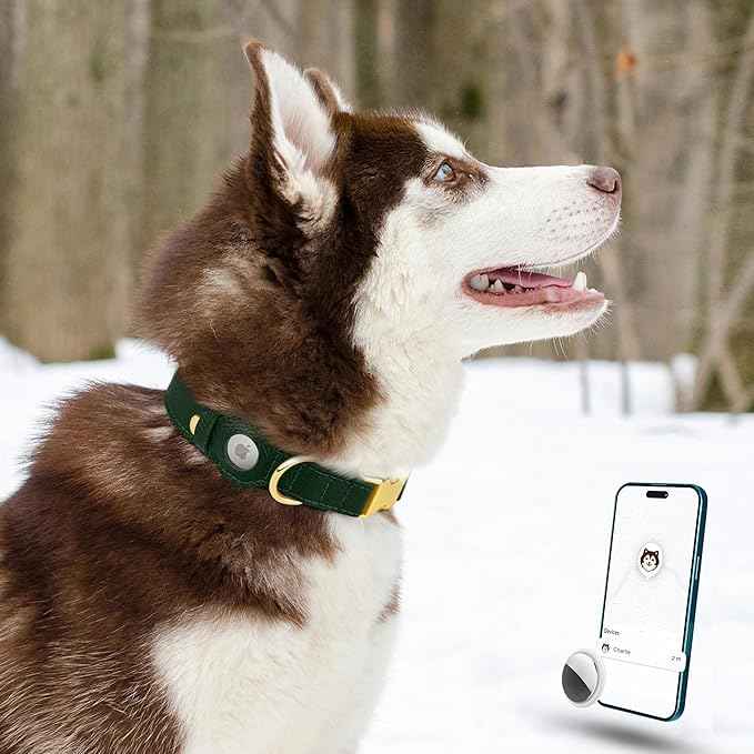 Leather Airtag Dog Collar - Soft Tracking Dog Collar with Apple AirTag Holder and Metal Buckle - Safety GPS Pet Collars for Small Medium Large Dogs Puppy Pink Red (Green, L, 17"-21" Neck Fit)