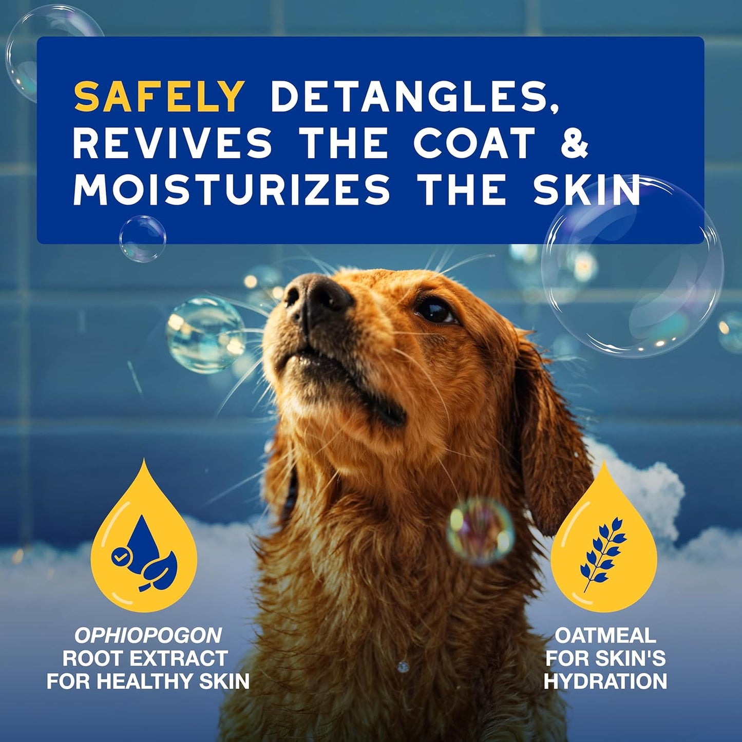 DOUXO® Skin & Coat SPA - Ultra-Safe Oatmeal Dog Conditioner, 16 fl oz, Safely Detangles, Moisturizes, Leaves The Coat Soft, Silky and Radiant, Skin-Friendly Formula