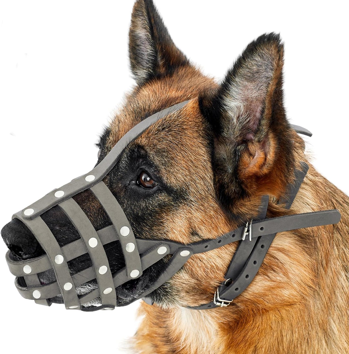 CollarDirect Dog Muzzle German Shepherd Dalmatian Doberman Setter Leather Basket Medium Large Breeds (Grey, Medium) - Pet Explorer