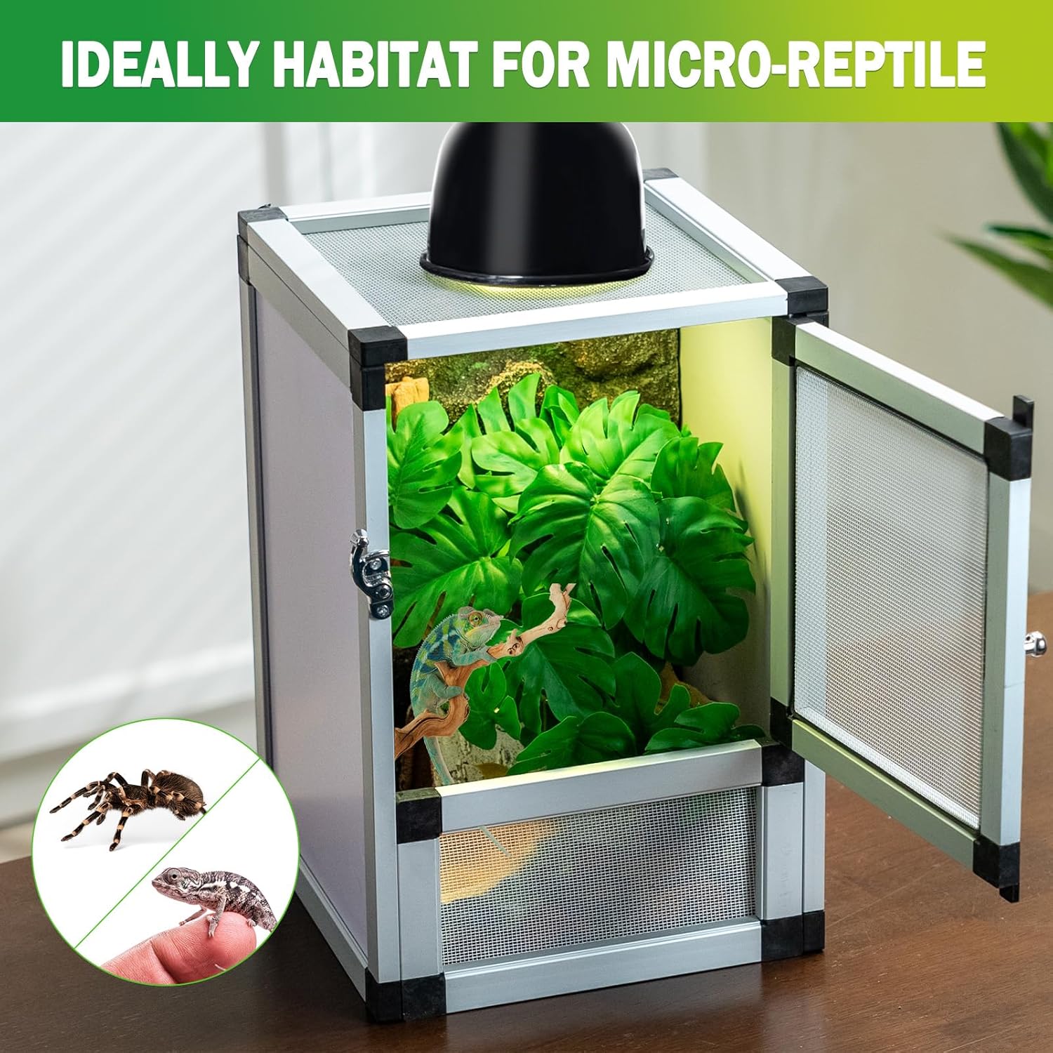Small Reptile Cage 8" x 8" x 12", Hatching Habitat, Dual Doors, Screen & Acrylic Ventilation, Easy Assembly, for Lizards, Frogs, Geckos - Pet Explorer