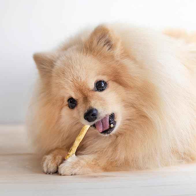 Fieldcrest Farms Nothin' to Hide Twist Stix, Chicken Flavor, Easily Digestible, Supports Skin, Coat, Joints & Muscles, for Moderate Chewers Under 15lbs, 50 Pieces