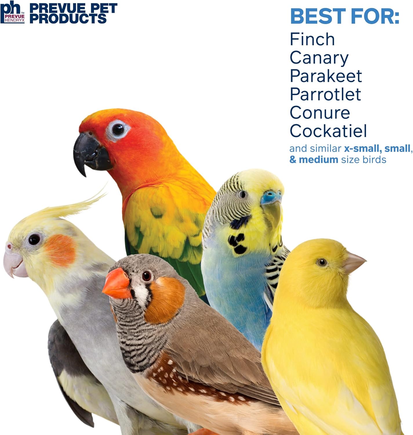 Prevue Pet Products Sound & Movement Mr. Mustache Bird Toy 62614