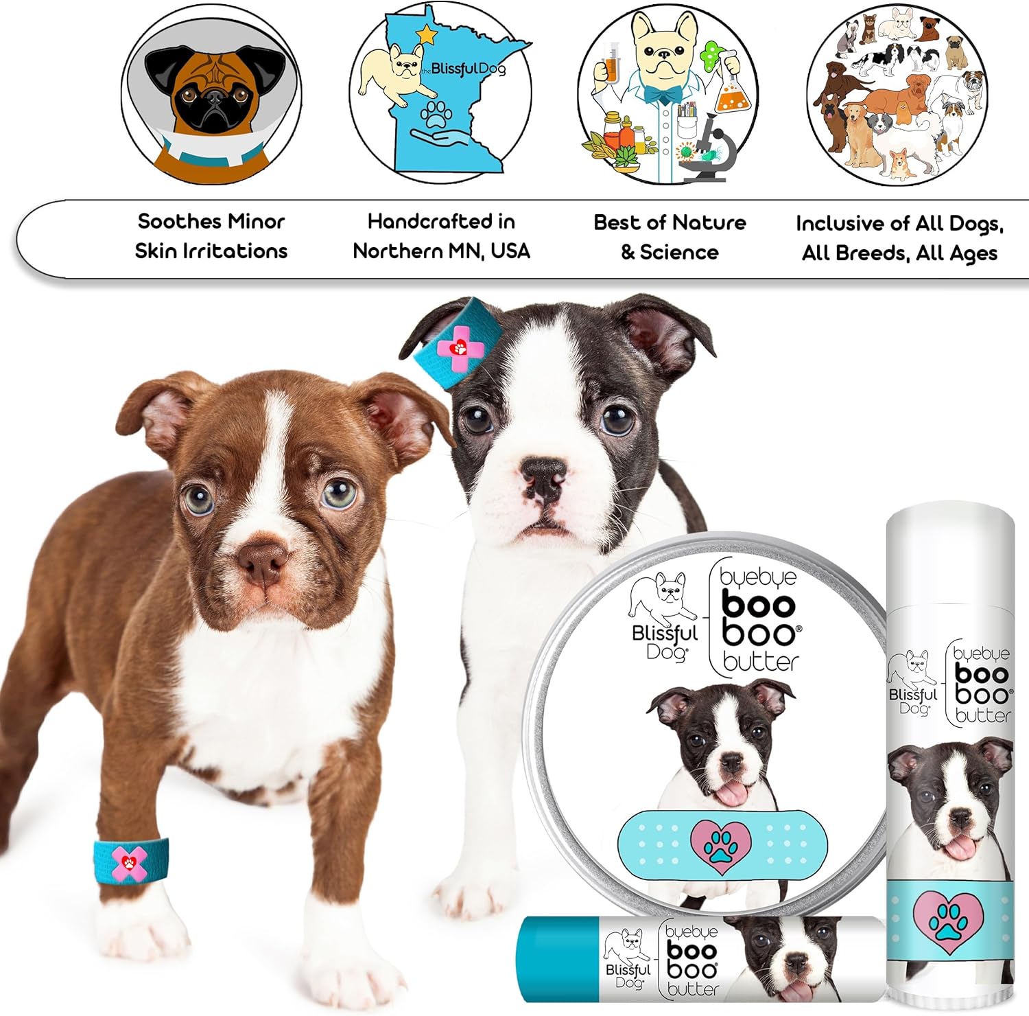 The Blissful Dog Boston Terrier Boo Boo Butter, 16oz - Pet Explorer