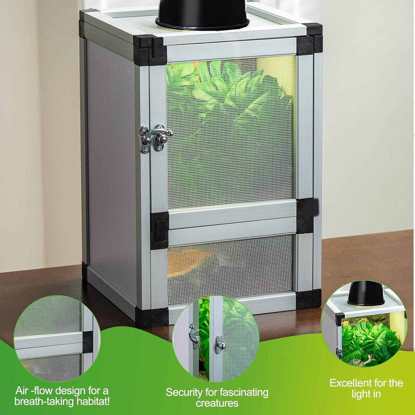 Small Reptile Cage 8" x 8" x 12", Hatching Habitat, Dual Doors, Screen & Acrylic Ventilation, Easy Assembly, for Lizards, Frogs, Geckos - Pet Explorer