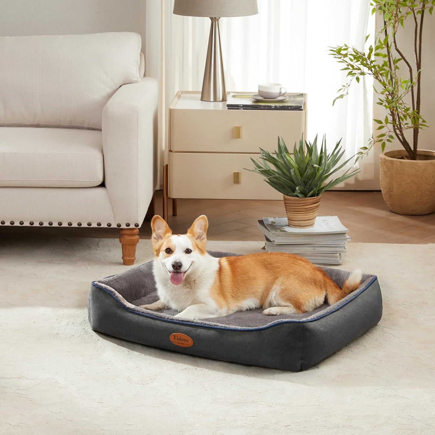 Orthopedic Dog Beds for Medium Dogs, Durable Egg Crate Foam Sofa Dog Bed wit Washable Removable Cover,Waterproof Lining,Pet Bed for Large Dogs (Dark Grey-Velvet, 31.5" L x 25.2" W x 7" Th) - Pet Explorer