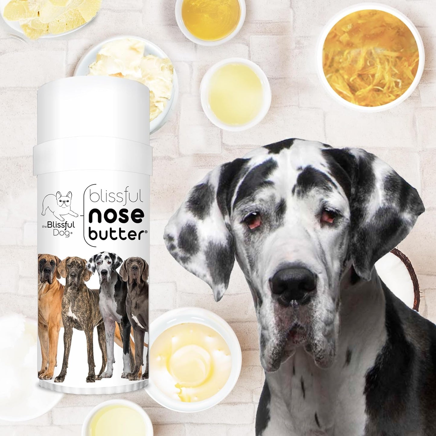The Blissful Dog Great Dane Unscented Nose Butter - Dog Nose Butter, 2 Ounce - Pet Explorer