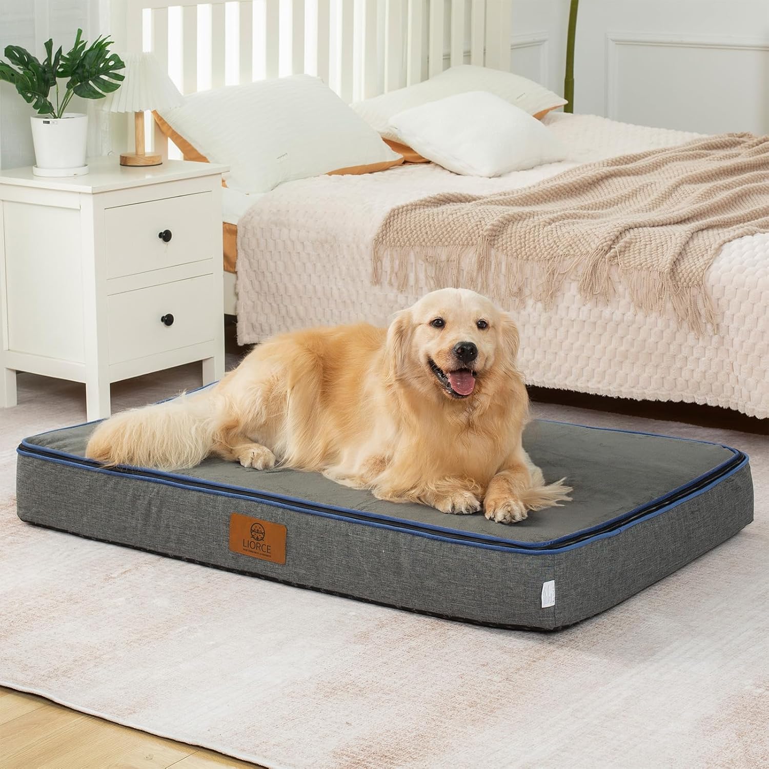 Orthopedic Memory Foam XXL Dog Bed - 6" Thick Beds for Extra Large Sized Dog - Waterproof Removable Washable Cover & Wrap-Around Zipper - Ultimate Comfort & Easy Maintenance, Dary Grey - Pet Explorer