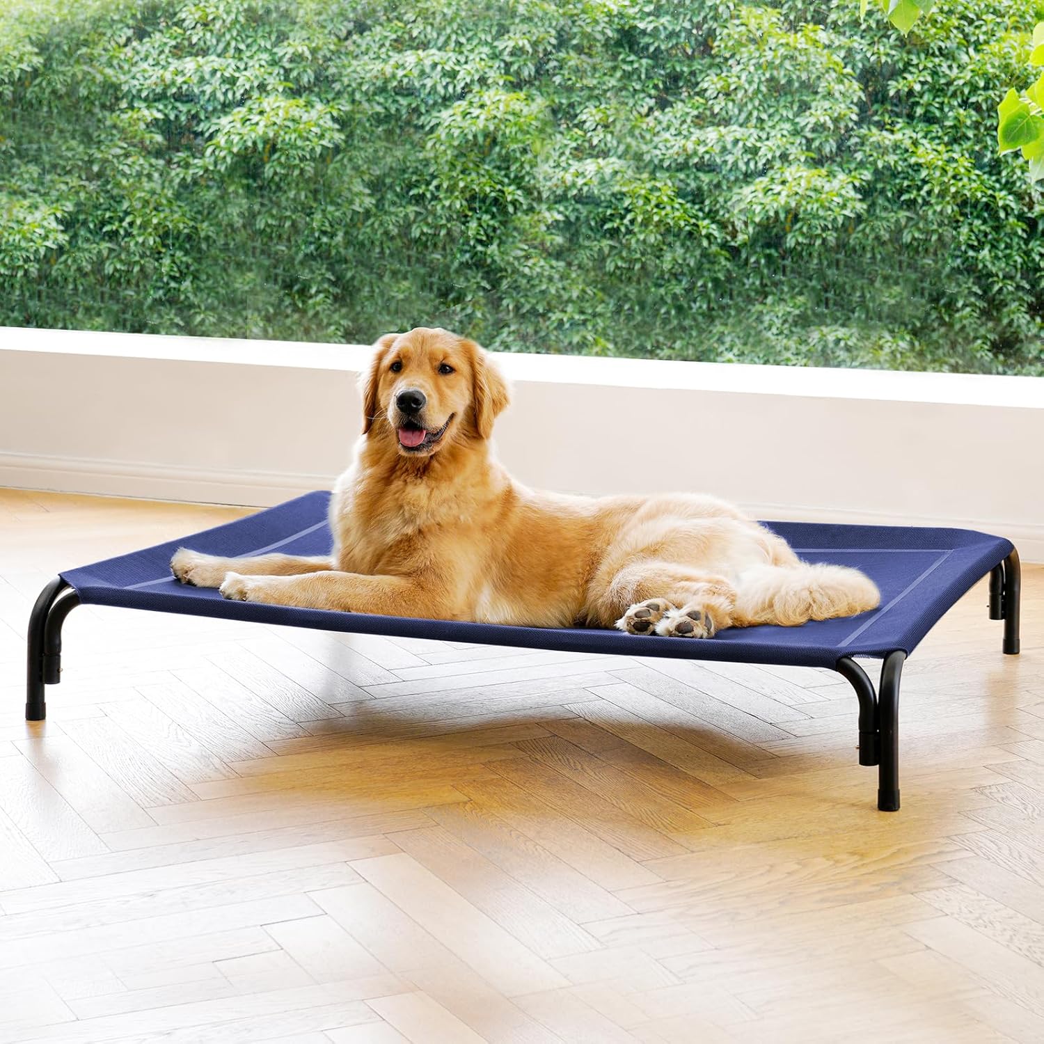 Elevated Dog Bed Raised Outdoor Dog Cot for Extra Large Dogs, Installation Requires No Tools, Frame with Washable Cooling Breathable Mesh Anti-Slip Feet, Indoor Pet Bed, Blue, 48.8 Inches - Pet Explorer