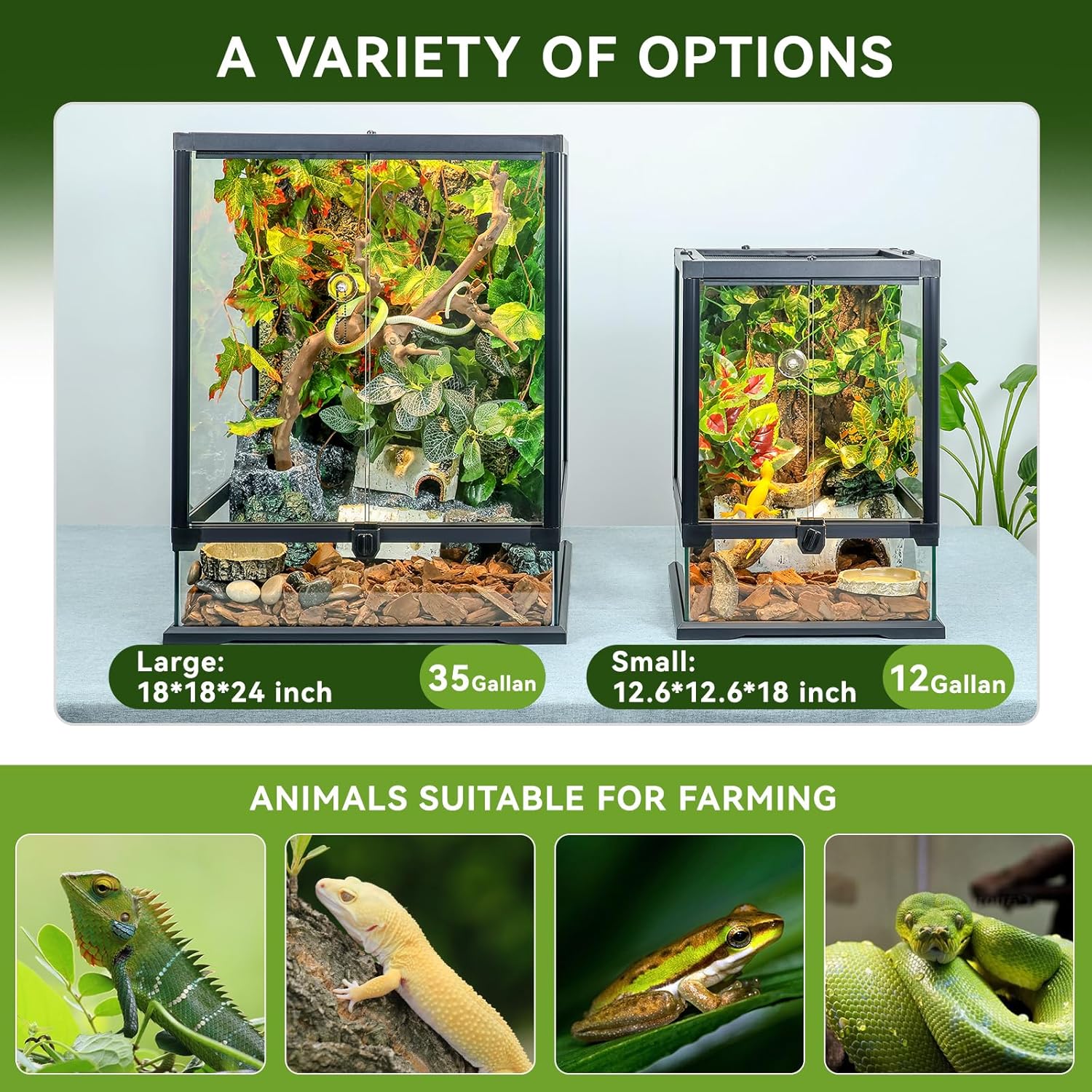 18x12x12 12 Gallon Glass Reptile Tank Front Opening Terrarium Suitable for Leopard Geckos, Snakes Tree Frogs Chameleons Watertight Base, Ventilated Metal Mesh Top, Pre-Drilled Cable Holes - Pet Explorer