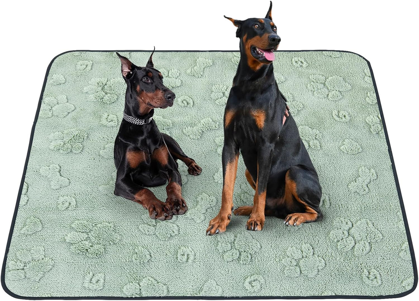 LOOBANI Washable Pee Pads for Dogs: 72"x72" Super Absorbent Reusable Dog Pee Pads Extra Large, Waterproof and Leakproof Whelping Pad for Potty Training, Playpen, Crate,Floor and Bed - Pet Explorer