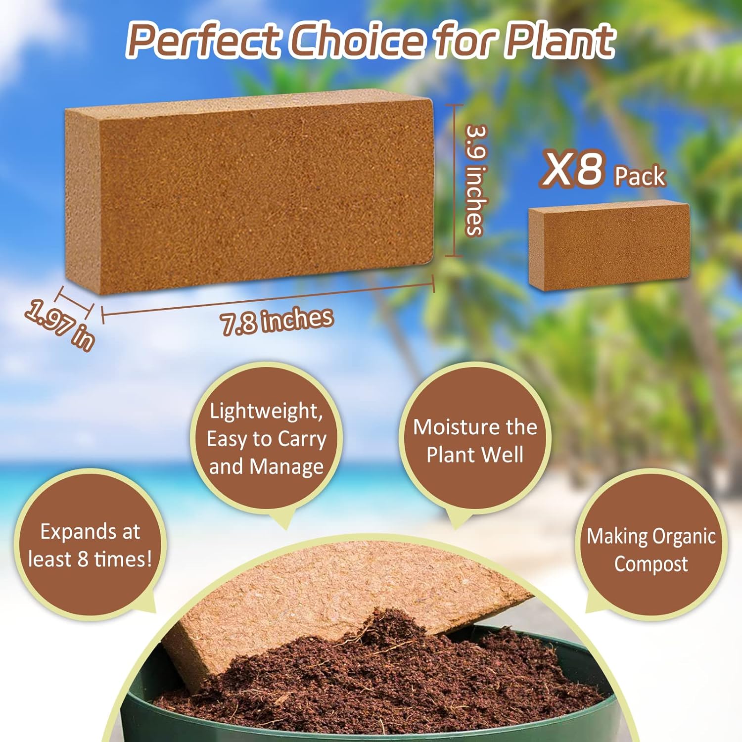 Riare 8pcs Organic Coco Coir Bricks Soil Blocks- 100% Natural Compressed Coco Peat Brick Coconut Fiber Substrate with Low EC& pH Balance, High Expansion Coco Coir Pith Coconut Husk for Garden - Pet Explorer