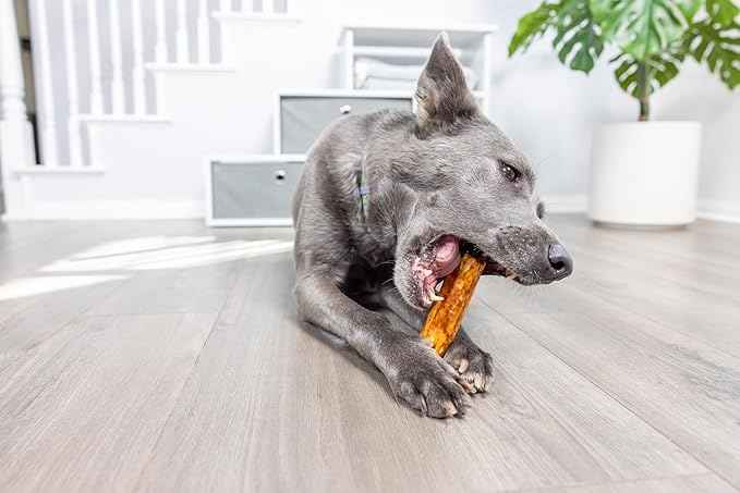 Wild Eats Salmon Flavor Collagen Retriever Style Cheek Roll 5" Dog Chews-4 Pack (Long Lasting Dog Chews Treats & Bones for Medium Dogs) Substitute for Pig Ears for Dogs