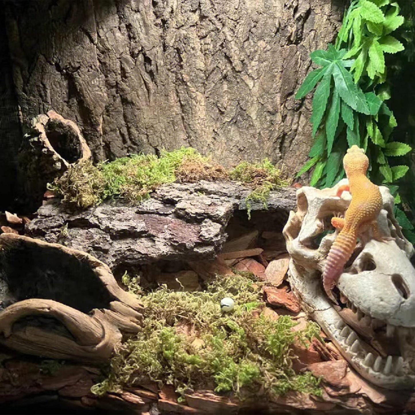 Tfwadmx 2Pcs Terrarium Cork Bark Background, 11.8"x11.8" Thickened Reptile Tank Tree Backdrop Wall Decor Habitat Climbing Mat Decoration for Lizard, Turtle, Gecko, Bearded Dragon, Frog, Chameleon - Pet Explorer