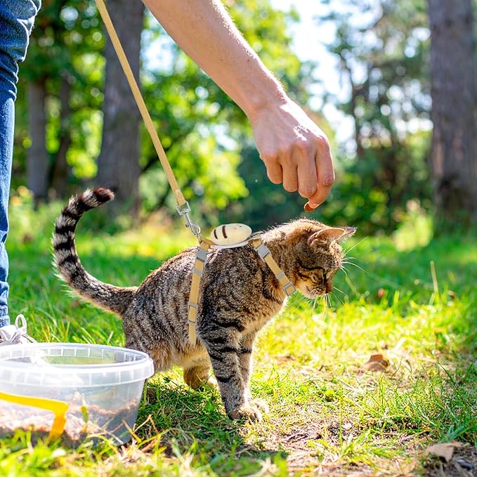 Cat Harness and Leash for Walking Escape Proof Adjustable Soft Harnesses and Leash Set Easy to Wear Kitten Harness for Travel Training and Walking(Vanilla Yellow)