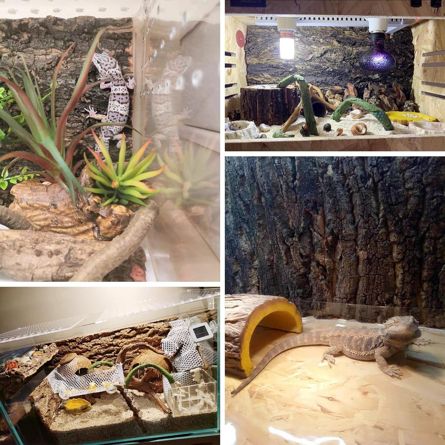 Fhiny 2 PCS Cork Bark Background, 11.6" x 7.7" Natural Cork Bark for Reptiles Tank Backdrop Reptile Climbing Wall Terrarium Decor Accessories for Turtle Beared Dragon Chameleon Snake - Pet Explorer