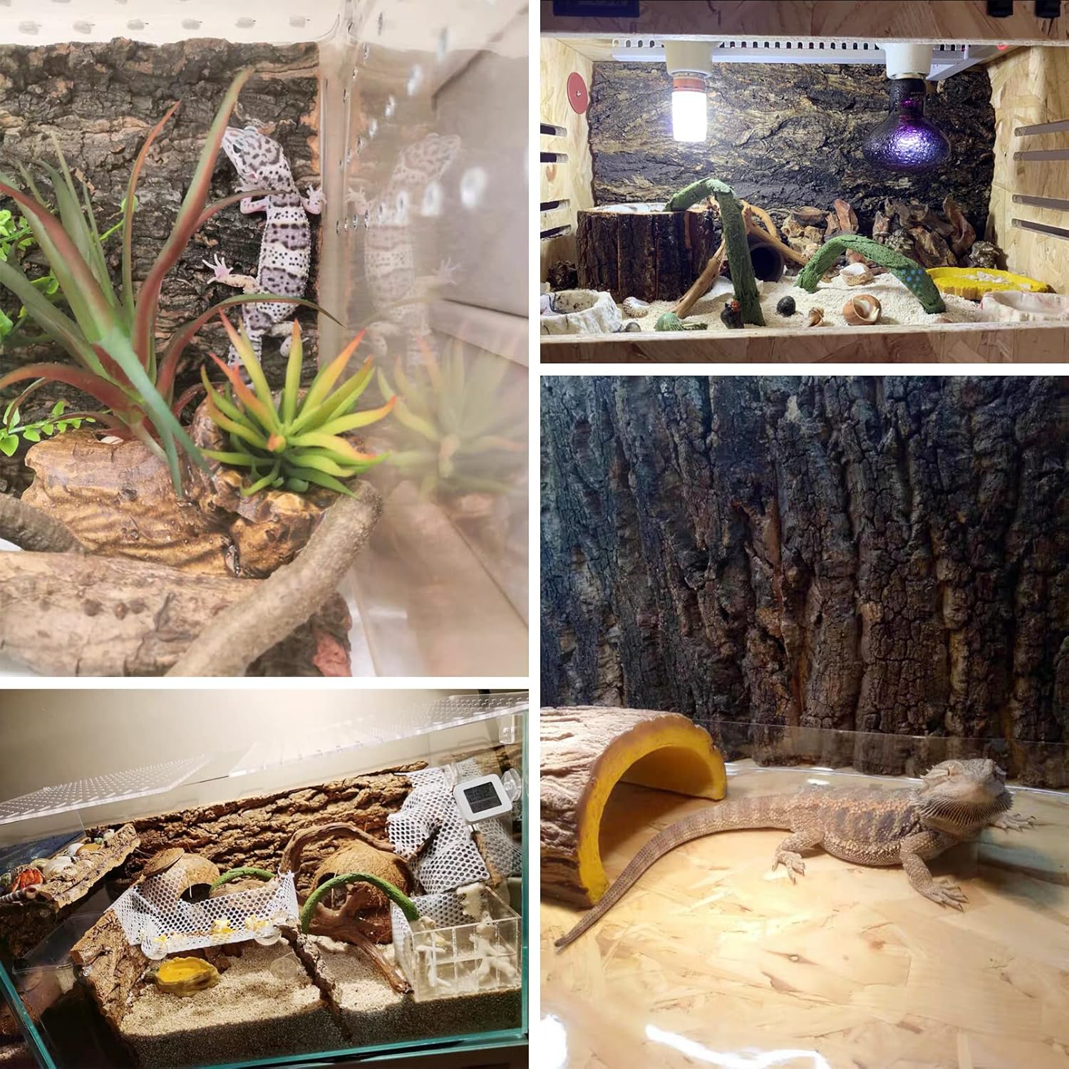 Fhiny 2 PCS Cork Bark Background, 11.6" x 7.7" Natural Cork Bark for Reptiles Tank Backdrop Reptile Climbing Wall Terrarium Decor Accessories for Turtle Beared Dragon Chameleon Snake - Pet Explorer