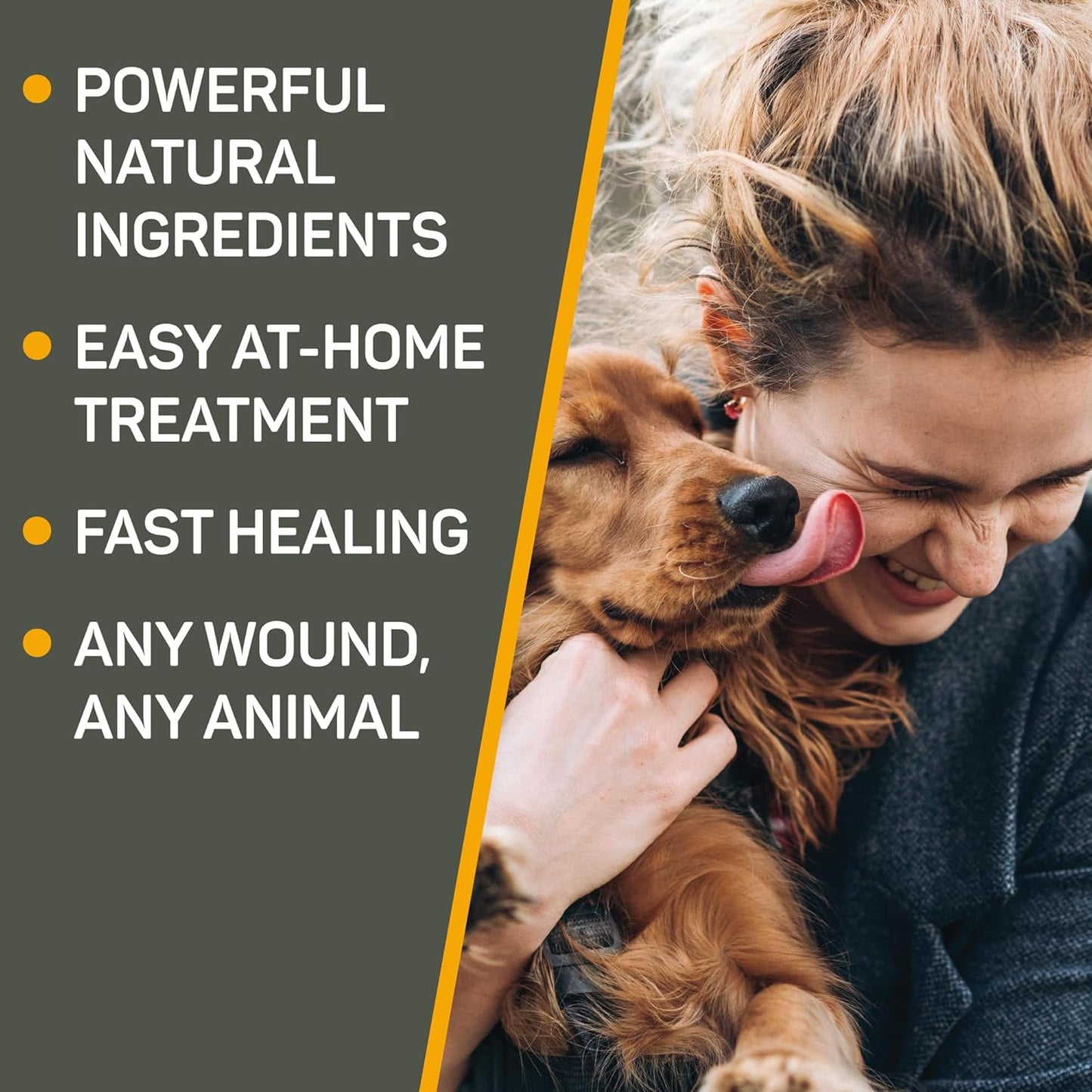 Absorbine Silver Honey Hot Spot & Wound Care Spray Gel 8oz Bottle, Manuka Honey & MicroSilver BG, Medicated for Dogs, Cats, Small Animals - Pet Explorer