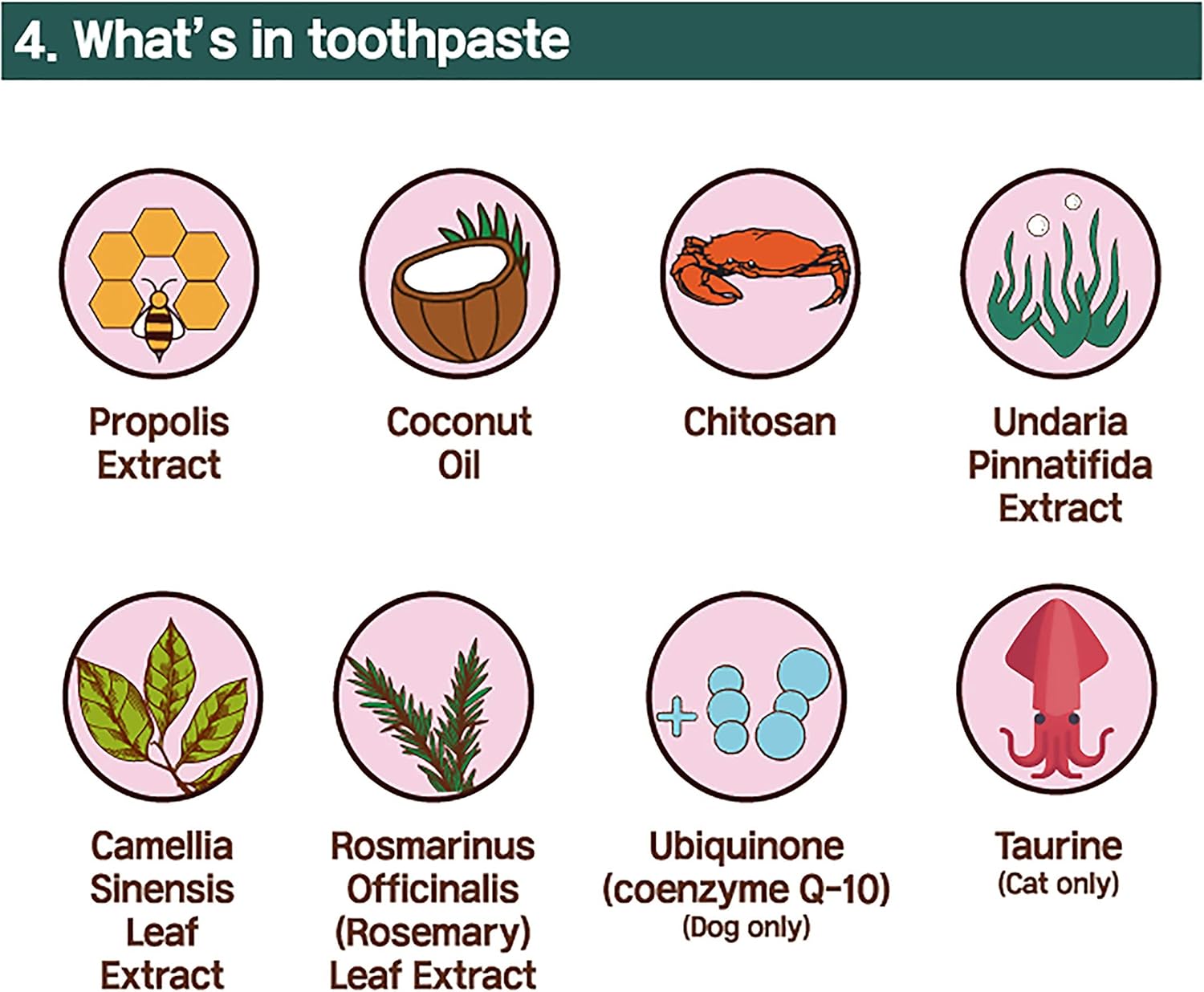 Cat Toothbrush & Toothpaste Kit – Flavor-Free Dental Gel for Cats – Finger Brush & Handle for Daily Oral Care – Plaque & Tartar Cleaning for Kittens and Adult Cats (1 Count, 1 Pack) - Pet Explorer