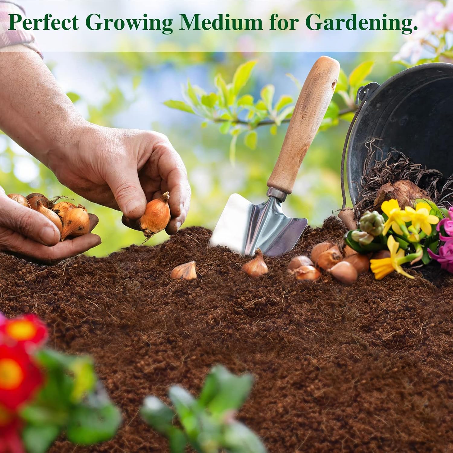 ZeeDix 5 Pack Premium Coco Coir Brick, Organic Compressed Coconut Coir Bricks Seed Starter Potting Soil for Plants, Coconut Fiber Substrate with Low EC & pH Balance for Gardening Flower Herbs - Pet Explorer