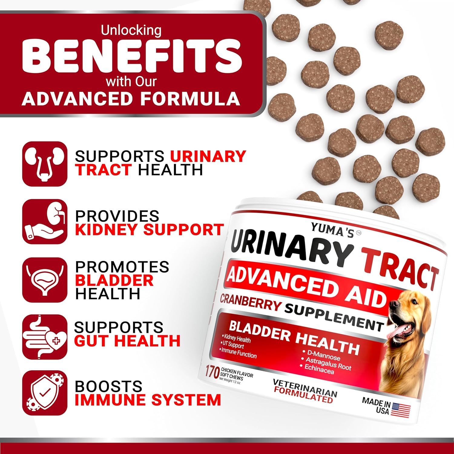 Dog UTI Treatment - 170 Treats - Cranberry Supplement for Dogs - Bladder Control - Urinary Tract Infection Treatment - UTI Medicine Multivitamin - Vitamins and Supplements - Made in USA - Pet Explorer