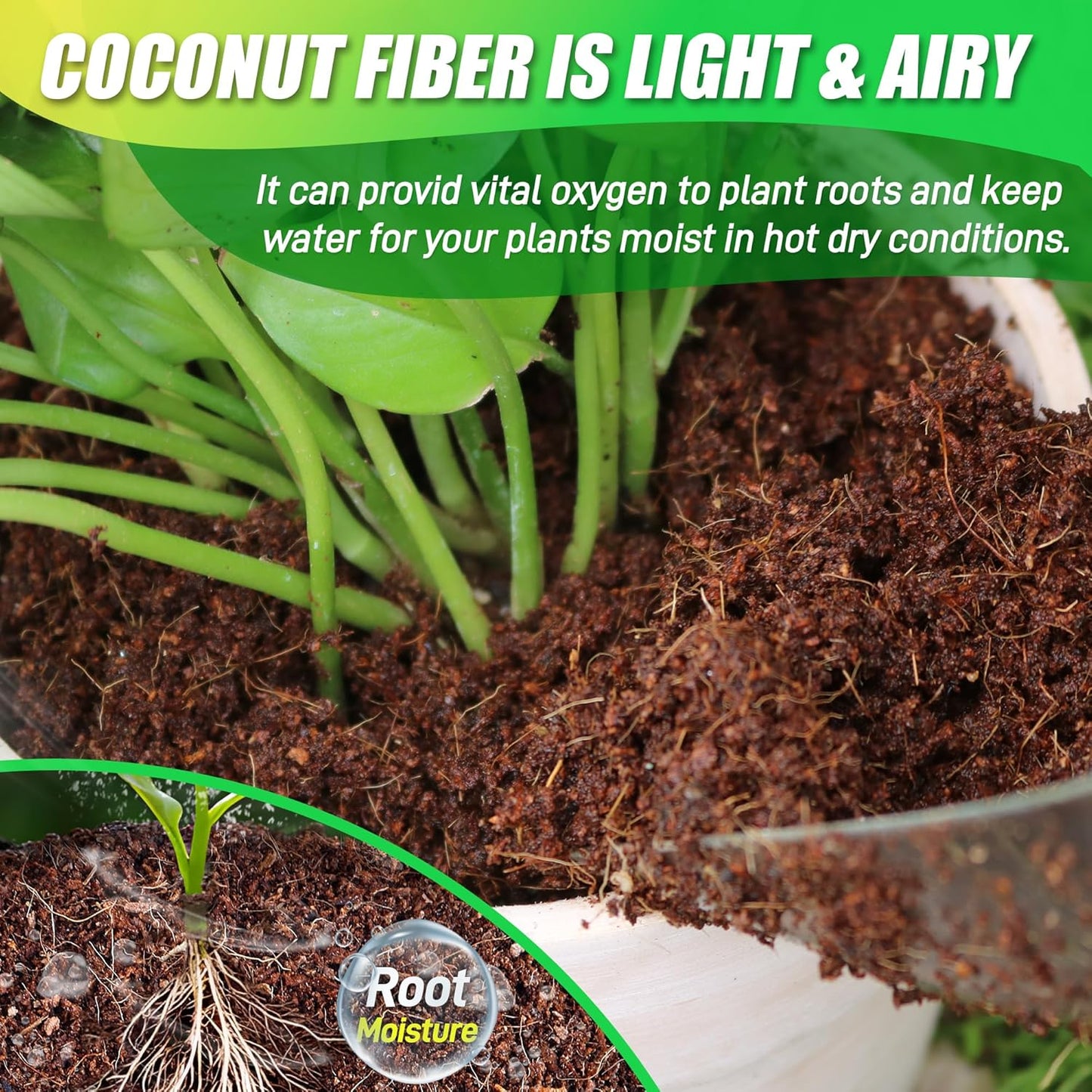Coco Coir Brick for Plants-6 Pack Premium Coconut Bricks, 100% Organic Peat Moss, Fiber Coconut Husk for Planting, Gardening, Potting Soil Substrate - Pet Explorer