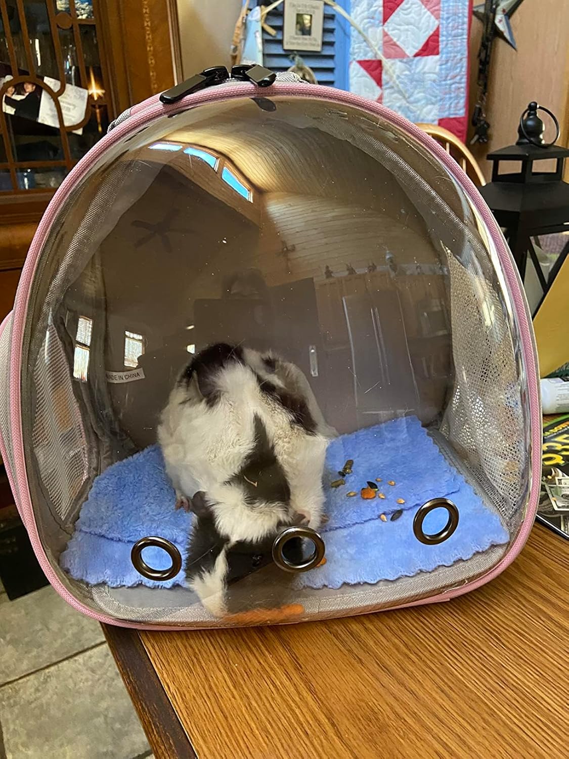 Hamster Backpack Carrier, Bearded Dragon Carrier Backpack with Clear Bubble Window,Small Animal Travel Backpack for Sugar Glider Hedgehog Rat Parrot, Airline Approved (Blue, Backpack) - Pet Explorer