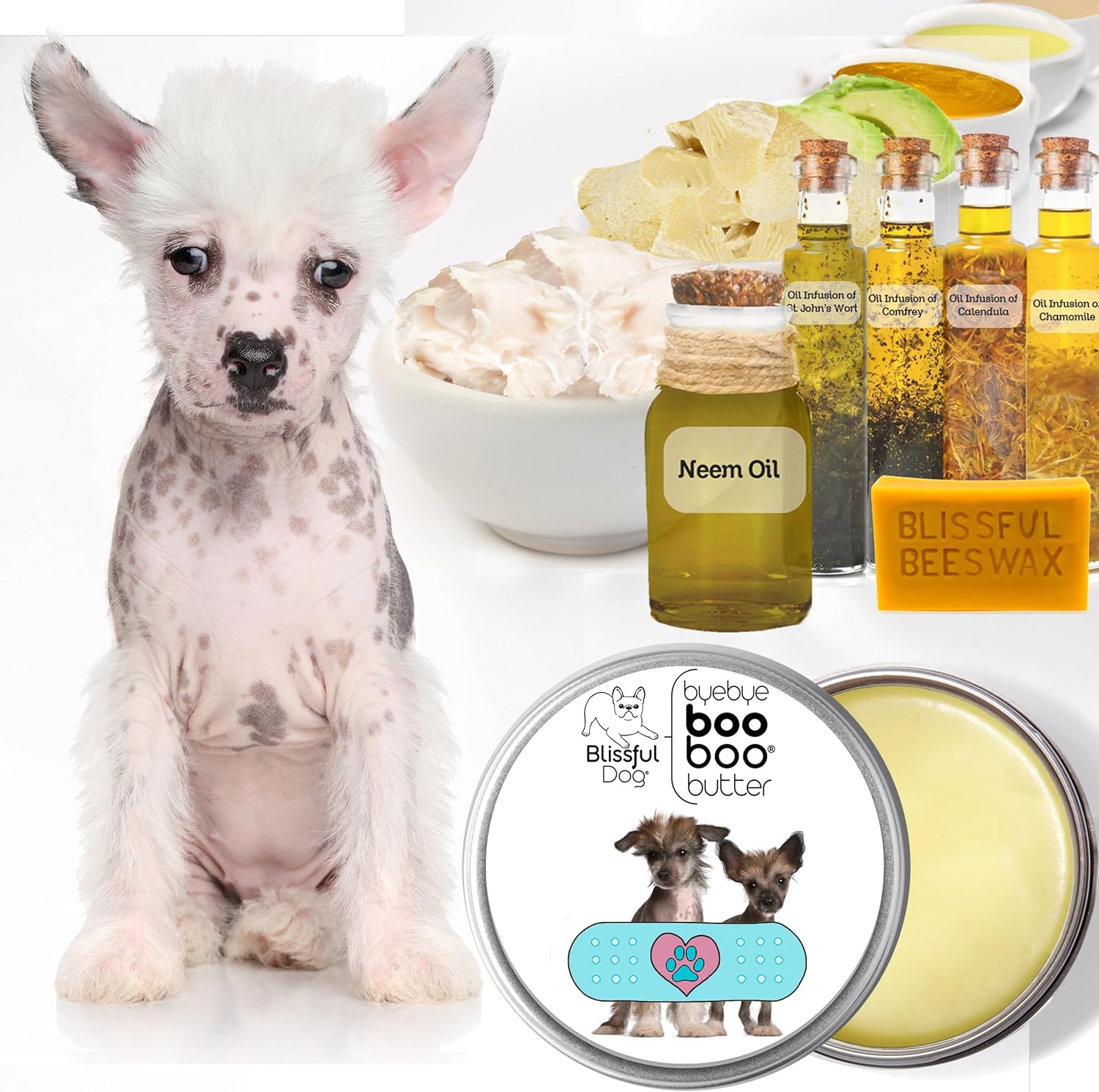 The Blissful Dog Chinese Crested Boo Butter, 4 oz - Pet Explorer