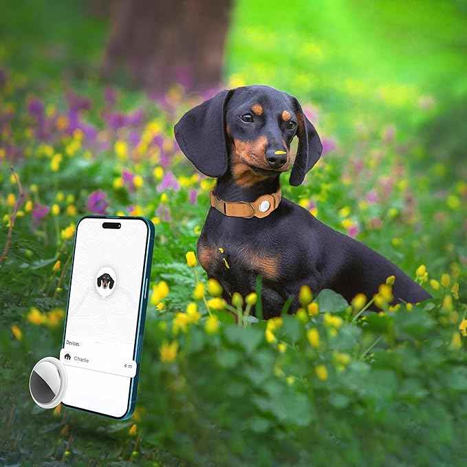 AirTag Dog Collar - Genuine Leather Dog Collar with Apple AirTag Holder and Metal Buckle - Smart GPS Tracking Pet Collars (Light Brown, XL, 20"-25" Neck Fit)