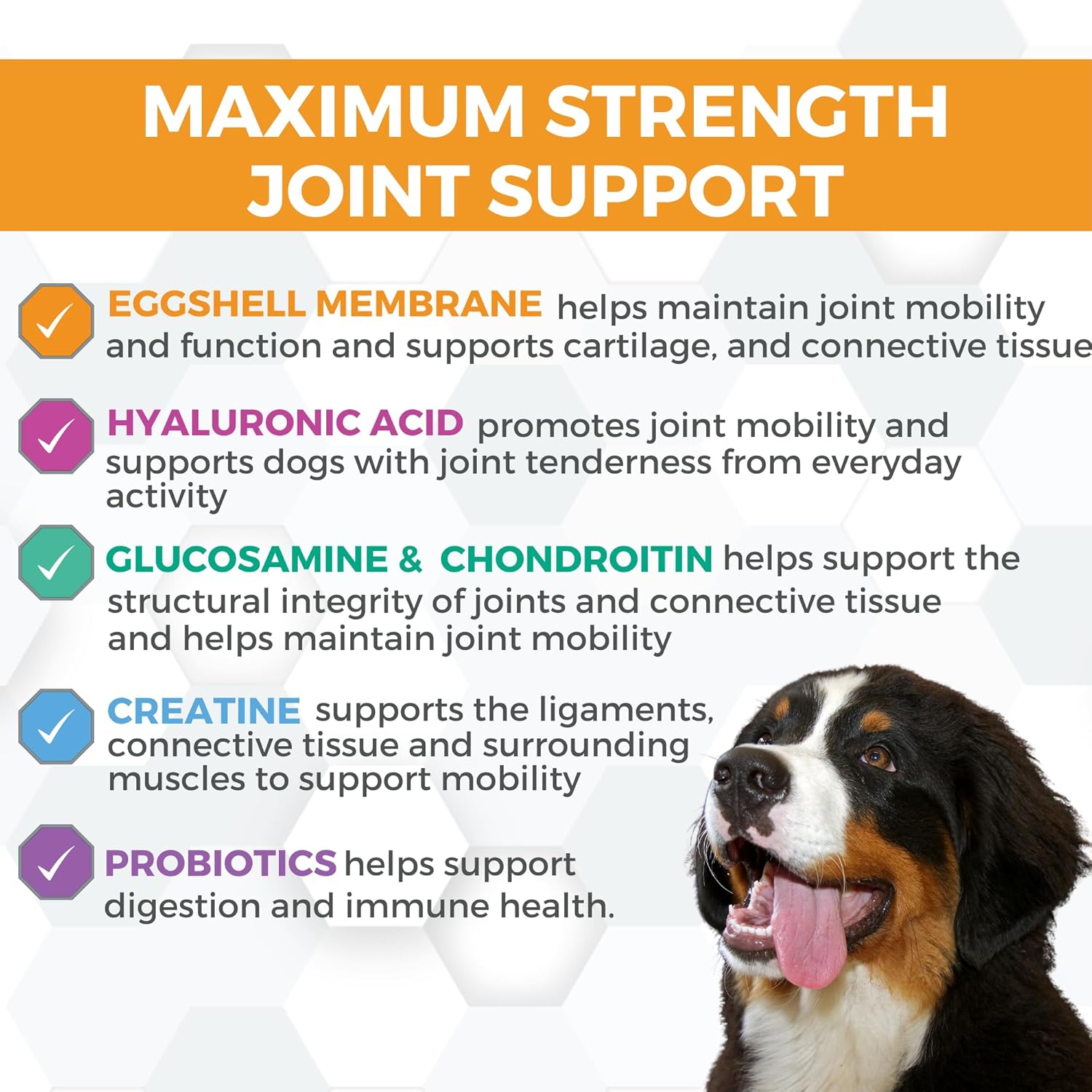 Nootie ProgilityMAX Hip & Joint Supplement for Large Dogs, Maximum Strength Dog Joint Support with Eggshell Membrane, Glucosamine and Chondroitin, 60 Count - Pet Explorer