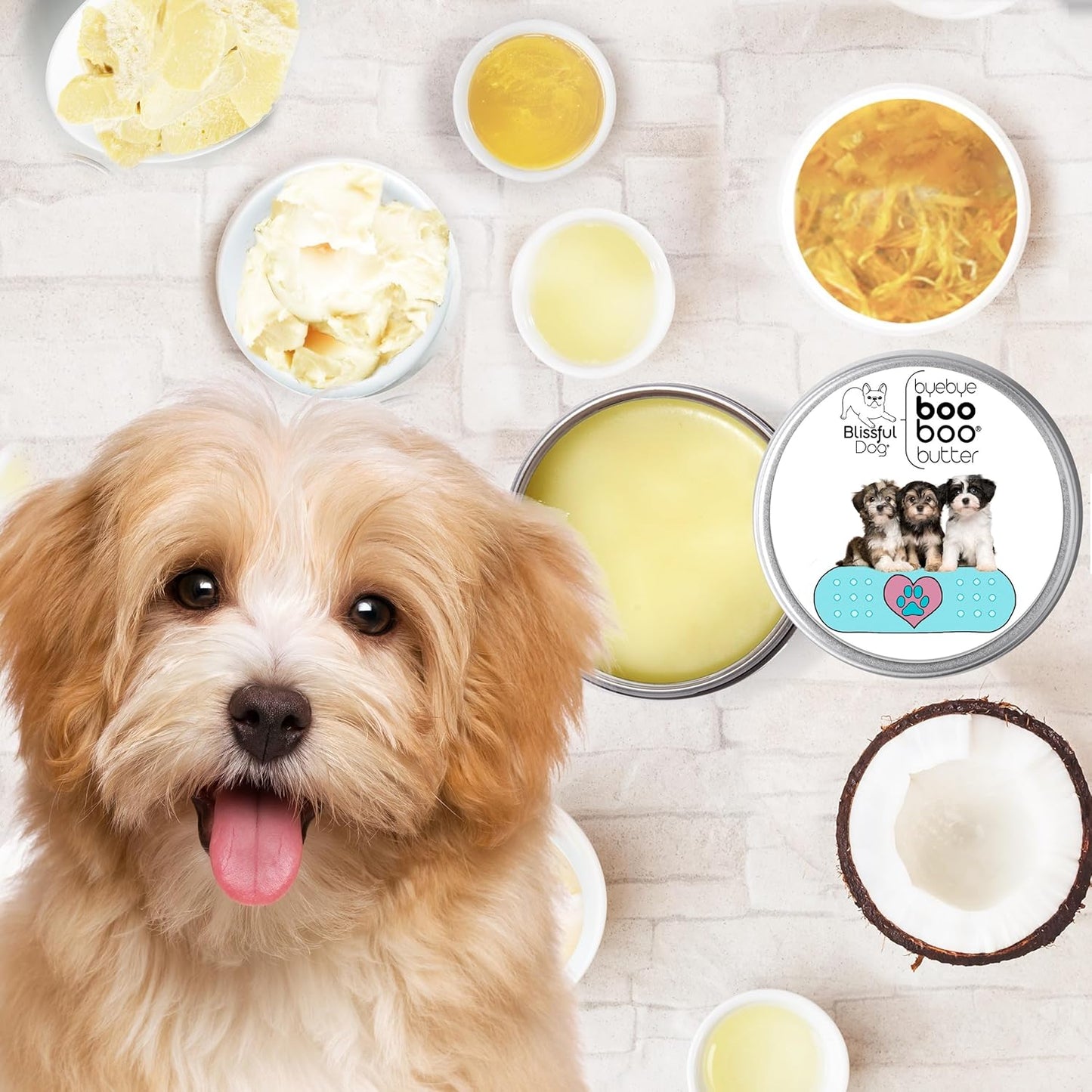 The Blissful Dog Havanese Boo Boo Butter, 16 oz. - Pet Explorer