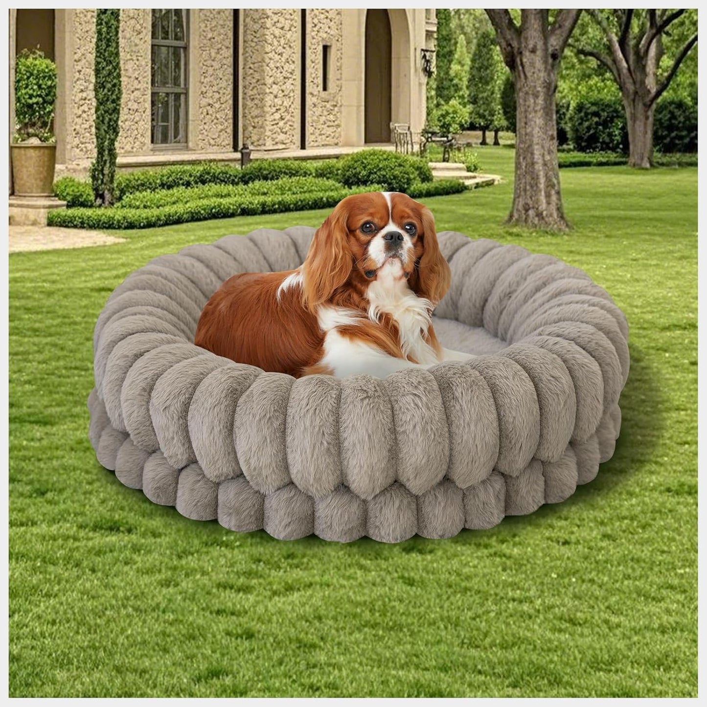 BALANCE Luxury Donut Dog Bed, 23 Inches Round Dog Beds for Small Dogs Washable, Orthopedic Calming Pet Bed for Puppy and Cats with Anti-Slip Bottom, Oatmeal - Pet Explorer