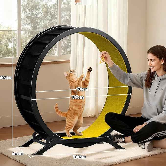 GTRACING Cat Wheels, 40" Diameter, Large Cat Exercise Wheel for Indoor Cats cat Treadmill Metal with Detachable Carpet & Teaser/Stickers, Ultra-Quiet Scroll Wheel with Latch, Safe and Stable, Yellow
