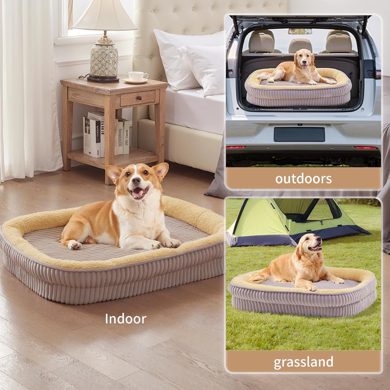 Orthopedic Dog Bed for Puppy,Extra Small Dogs Breeds,Oval Cat Bed,High Density Egg Crate Foam Dog Sofa Beds,Pet Couch Bed with Four Sided Bolster,Removable Washable Cover&Non-Slip Bottom - Pet Explorer