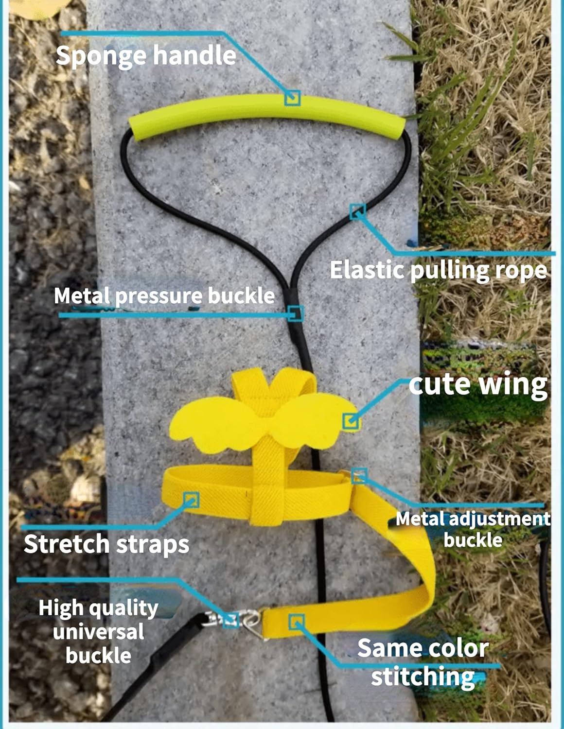Pet Parrot Bird Harness Leash Adjustable Bird Flying Harness Traction Rope with Cute Wing for Parrots Pigeons Budgerigar Lovebird Cockatiel Mynah Outdoor Training Toy (M, Purple)